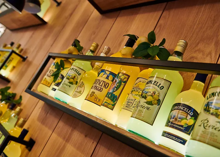 Holiday Inn Nice By Ihg